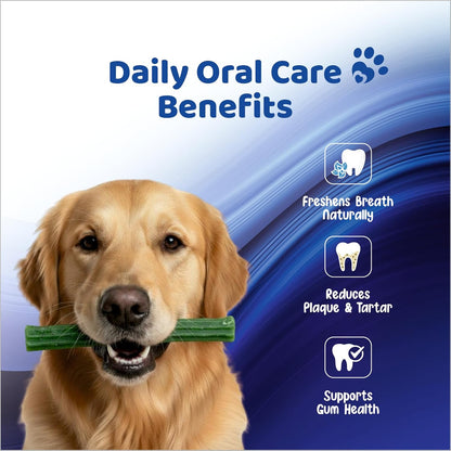 Petoska Dog Dental Sticks – Chicken & Turmeric Flavor, Anti-Bacterial Oral Care Chews for Dogs, Improves Gum Health, Reduces Tartar, Daily Dental Treats for All Breeds