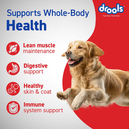 Drools Adult Dry Dog Food 1.2kg | Chicken & Egg Flavour | Omega 3 & 6 for Growth | Better Digestibility | Supports Joint Health