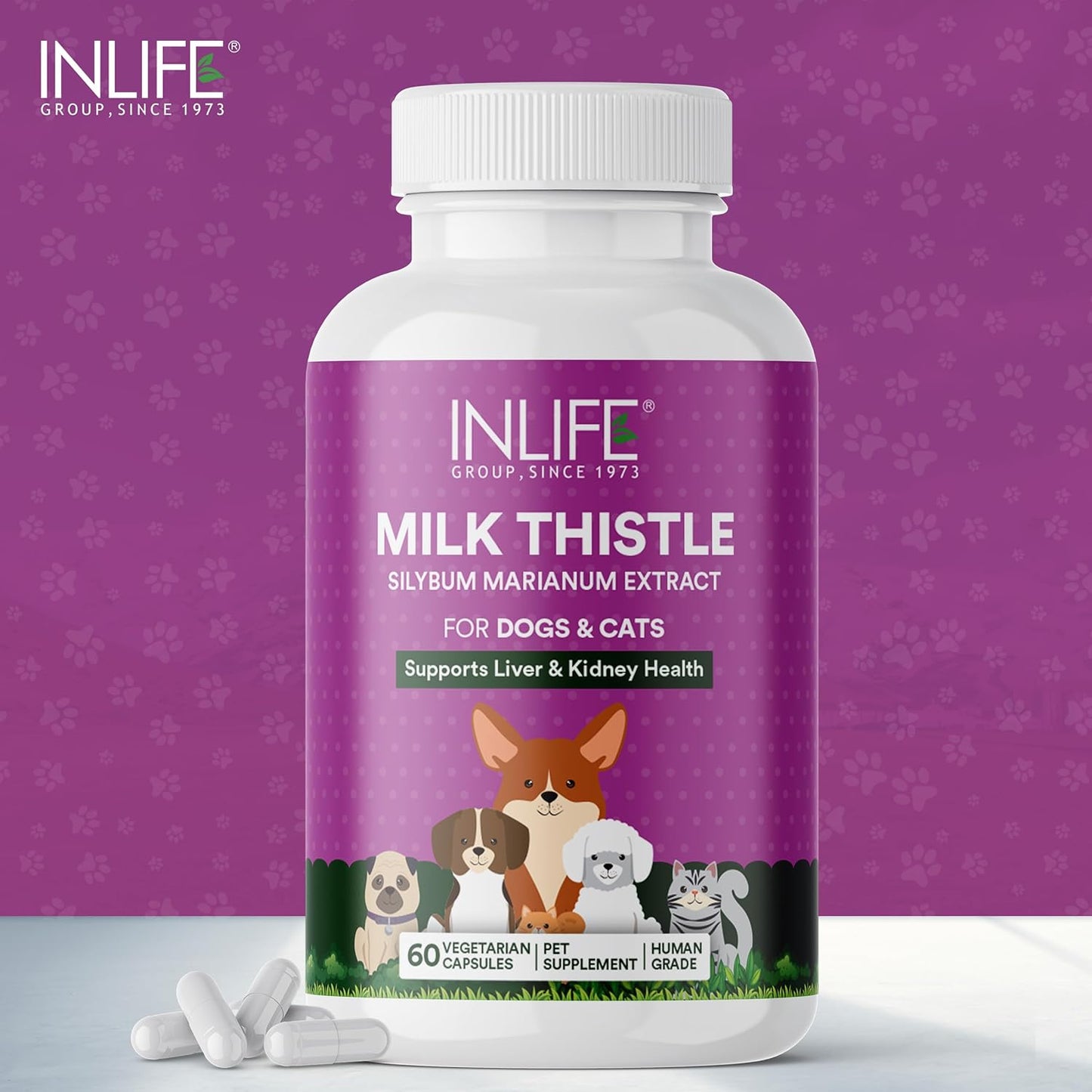 INLIFE Milk Thistle Capsules for Dogs & Cats | Liver Detox Supplement & Kidney Health, 400mg - 60 Vegetarian Capsules