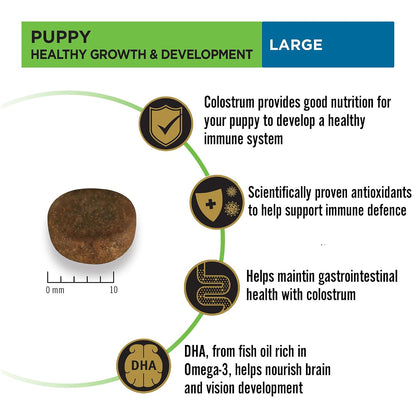 Purina Pro Plan Puppy Dry Food for Large Breed Dogs, 1kg Pack | With Chicken, Natural Colostrum, Supports Immune System, Scientifically Proven Antioxidants, Complete Nutrition