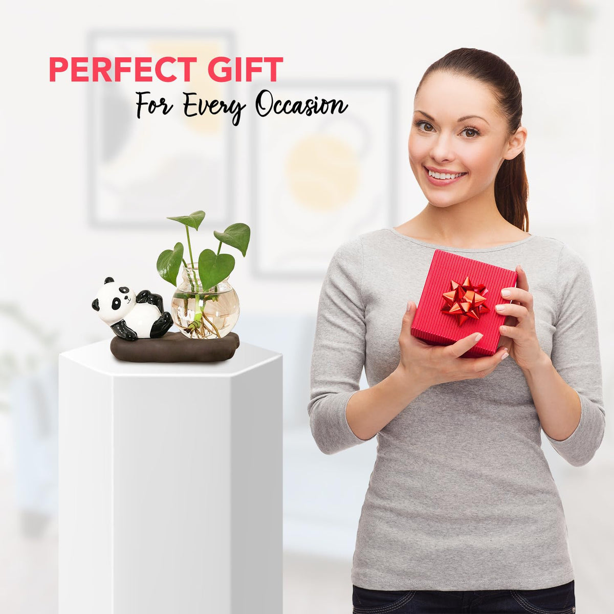 Nostrae Panda with Money Plant Planter Show Pieces for Home Decor | Cute Showpieces Gift Item for Decoration | Center Table Tv Showcase Shelf Office Interior Statue Figurines