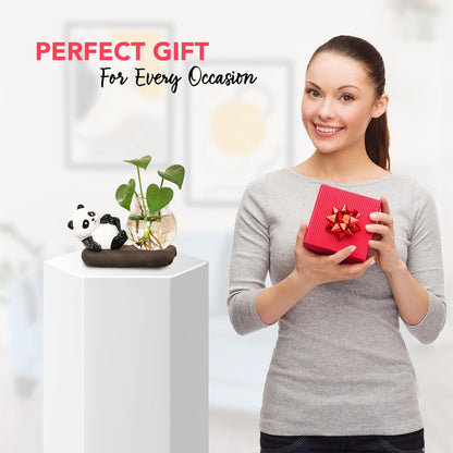 Nostrae Panda with Money Plant Planter Show Pieces for Home Decor | Cute Showpieces Gift Item for Decoration | Center Table Tv Showcase Shelf Office Interior Statue Figurines