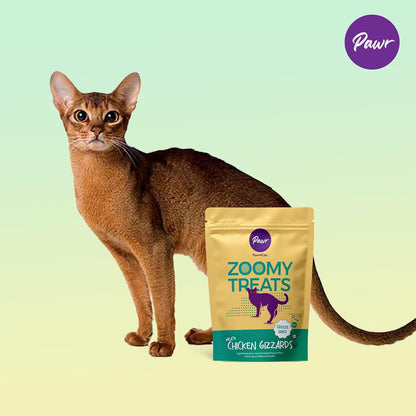 Pawr4Cats | Chicken Gizzards Zoomy Treats | Freeze-Dried | Rich in Lean proteins | No Preservative | Use as Treat or Food Topper | 45 GMS,All Life Stages