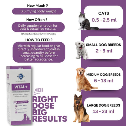 PET360 Vital+ Advanced Wellness Formula | Daily Multivitamin Syrup | Healthy Skin, Joints, Immunity & Growth | Nutritional Supplement for Dogs & Cats- 200 ml