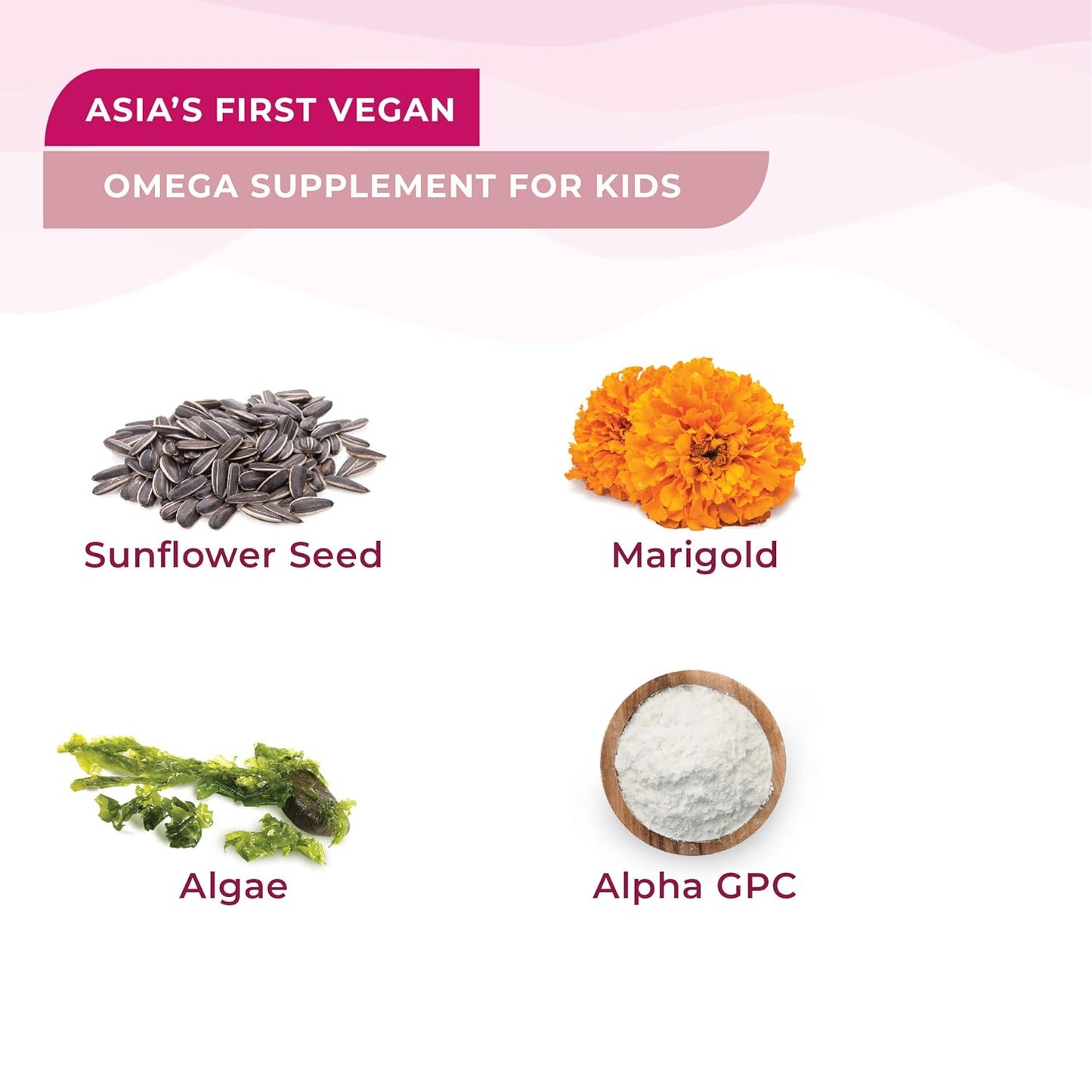 Wellbeing Nutrition Frozen Anna Melts | Vegan Omega 3 for Kids (6+) Supports Brain Development, Concentration, Eye & Heart Health | Algae Omega 3 EPA DHA | Strawberry Mint Flavor (30 Oral Strips)