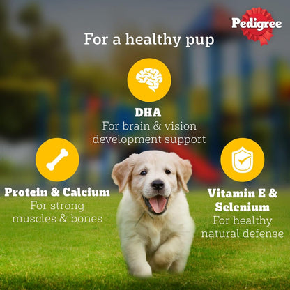 Pedigree Puppy Wet Dog Food, Chicken & Liver Chunks in Gravy, 70 g, Complete & Balanced Meal for Puppies