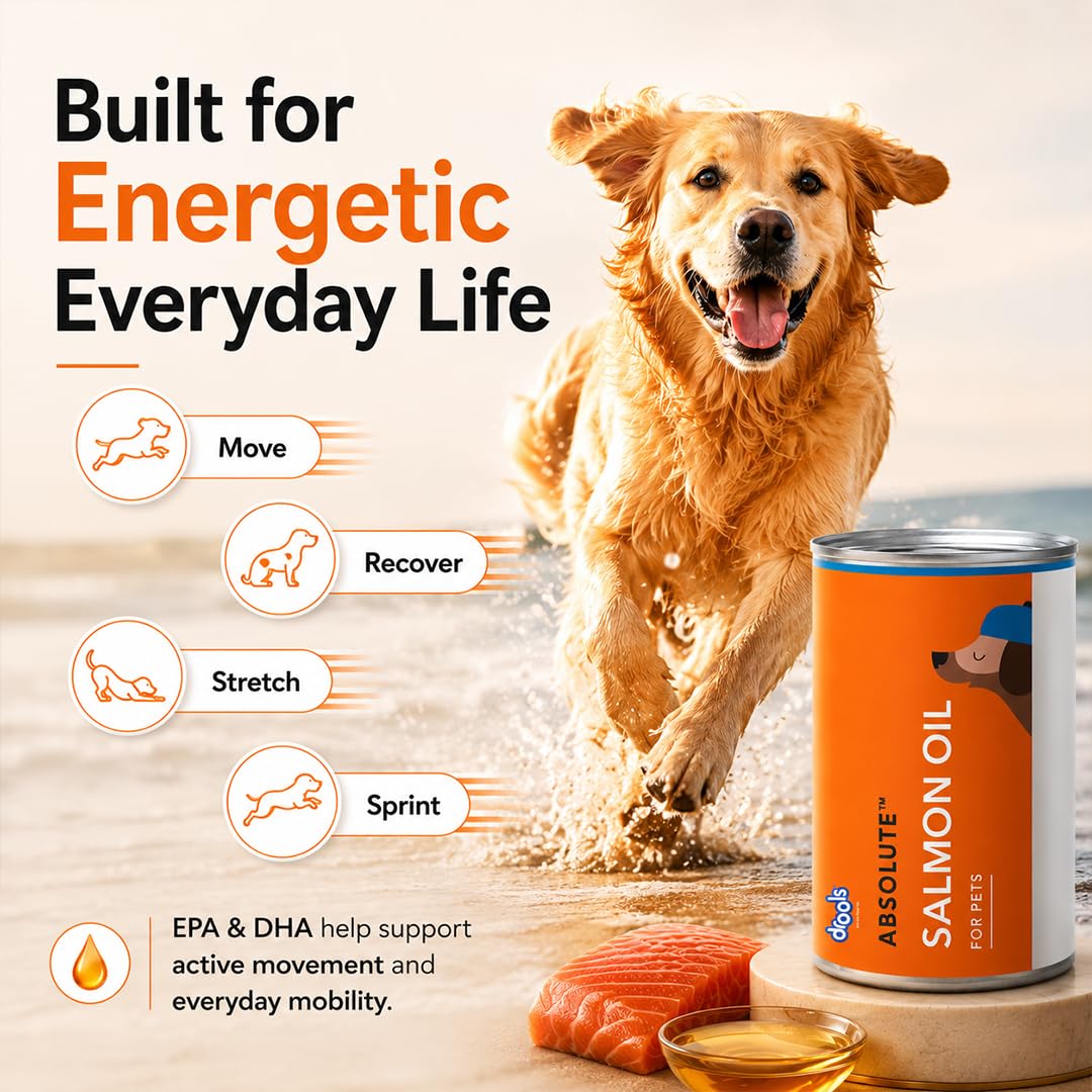 Drools Absolute Dog Supplement Syrup 300ml Jar | Salmon Flavour | All Breeds | Promotes Shiny Coat | Boosts Immunity | Aids Brain Development | Helps Prevent Skin Issues | Maintains Heart Health