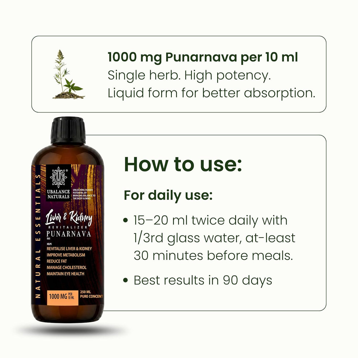 Liver & Kidney Revitalizer | Detox Support 250 ML I Liquid Ayurvedic Punarnava | Supports Liver & Kidney Health, Fluid Balance, Detox & Less Bloating | Men & Women