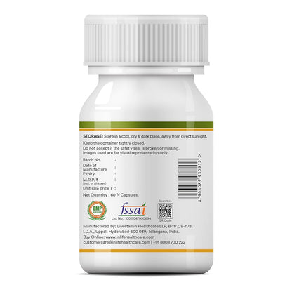 INLIFE Ginkgo Biloba Extract Capsules 120mg | Herbal Supplement | Memory Support - 60 Vegetarian Capsules (Pack of 1, 60)