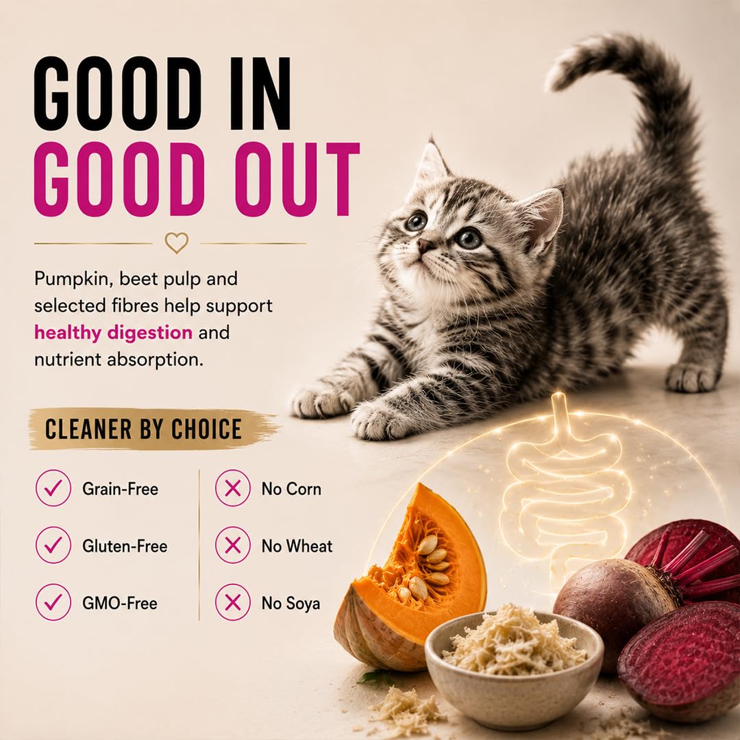 Grain Zero Mother & Kitten Dry Cat Food 400g | Ocean Fish, Sardine & Mackerel | DHA for Brain Development, 48% Fresh Fish Inclusion | Promotes Healthy Skin & Coat