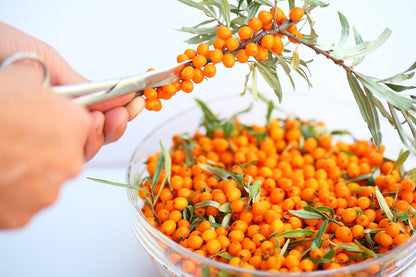 Namo Organics - 500g Himalayan Sea buckthorn Dry Berry – Natural, Sun-Dried, Rich in Omega 3,6,7 and 9, & Vitamin C, E | Dried Seabuckthorn Berries | No Added Sugar or Preservatives