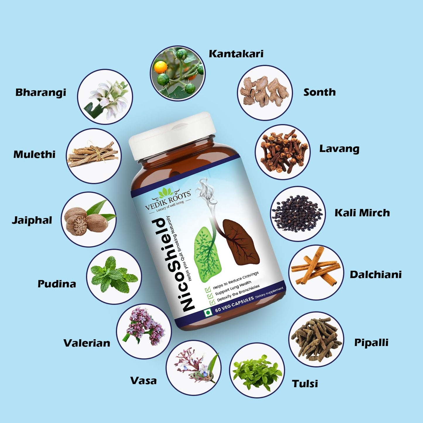 NicoShield | Herbal solution to Help Quit Smoking Naturally | Helps Reduce Craving To Smoke | Ayurvedic Herbal Supplement | 60 Veg Capsules (Pack of 1)
