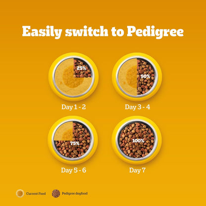 Pedigree Adult Dry Dog Food, Chicken & Vegetables, 1.2 kg, Contains 37 Essential Nutrients, 100% Complete & Balanced Food for Adult Dogs