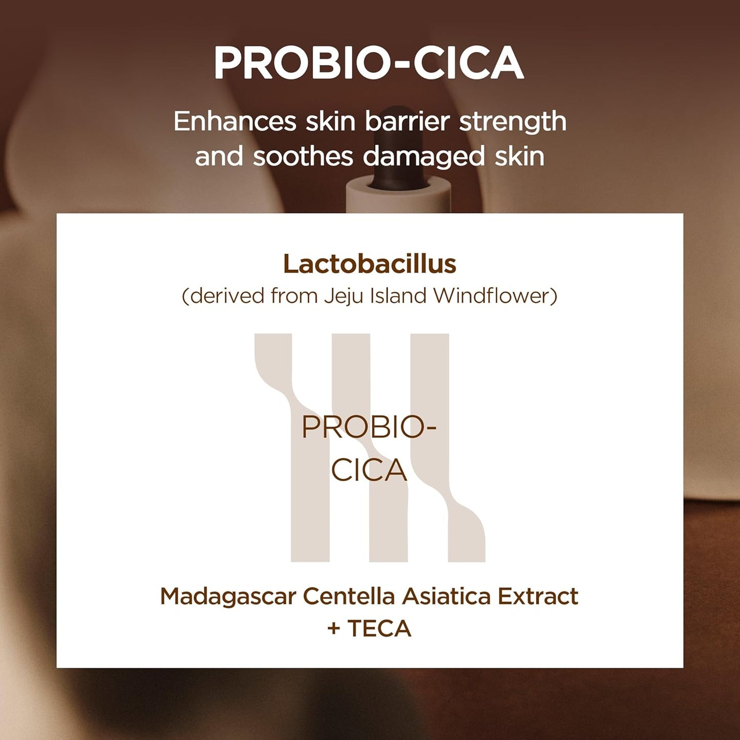 SKIN1004 Centella Probio-Cica Intensive Ampoule | Soothing & Barrier Repair for Dry to Combination Skin with Fermented Centella & Ceramides, 50ml