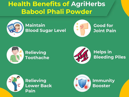 Namo Organics - Babool Phali Powder for joint pain - 200g