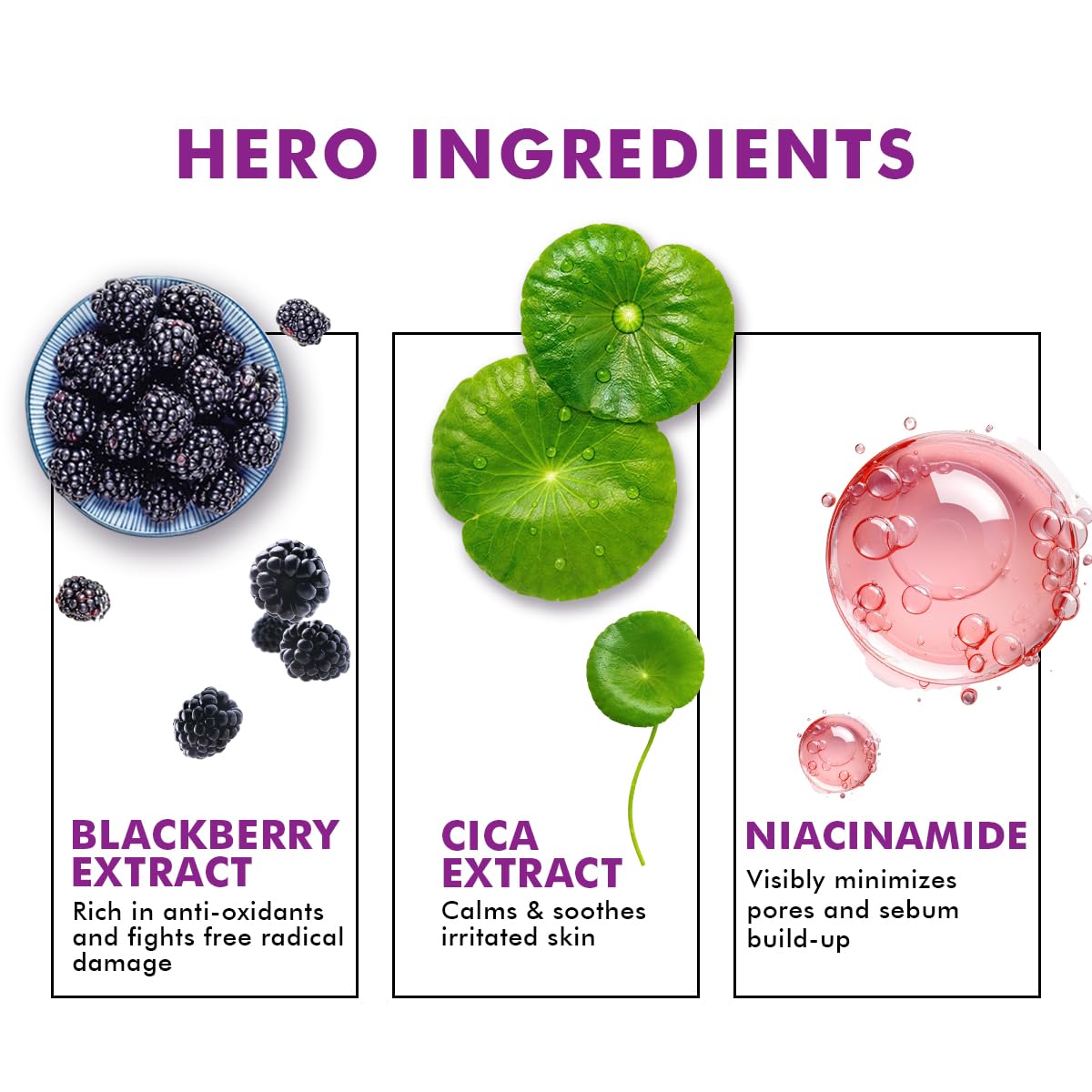 Illustration of blackberry extract, cica extract, and niacinamide with text on a white background