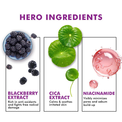 Illustration of blackberry extract, cica extract, and niacinamide with text on a white background
