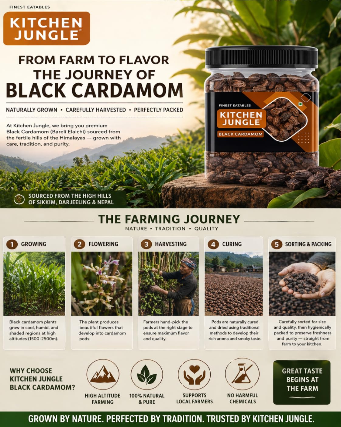Kitchen Jungle Premium Black Cardamom (Kali Elaichi) 100g | Bold Whole Badi Elaichi Pods | Strong Smoky Aromatic Spice for Biryani, Garam Masala, Curries & Indian Cooking
