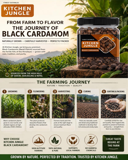 Kitchen Jungle Premium Black Cardamom (Kali Elaichi) 100g | Bold Whole Badi Elaichi Pods | Strong Smoky Aromatic Spice for Biryani, Garam Masala, Curries & Indian Cooking