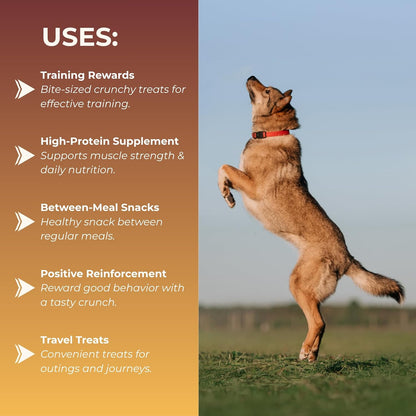 TailTrums Dog Sticks | Chicken Meaty Sticks 450g | Healthy Dog Food | Freshly Baked Dog Treats | All Natural & Preservative Free | Dog Dental Stick | Human-Grade Ingredients | All Breeds |