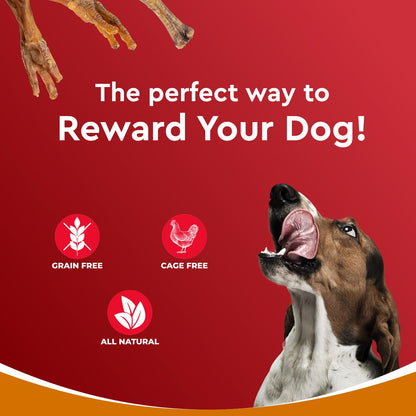 Drools Dog Treats, Dehydrated Real Chicken Chews Feet, 70g, All Life Stages, Bone