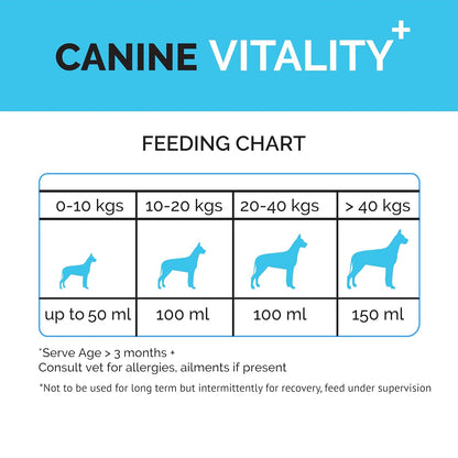 Goofy Tails Canine Vitality+ (100Mlx1Pack) Dog Immuity Booster, Dog Coat Supplement, Gut Supplement, Boosted with Curcuminoids, Ashwagandha, Prebiotics & Collagen for Dogs