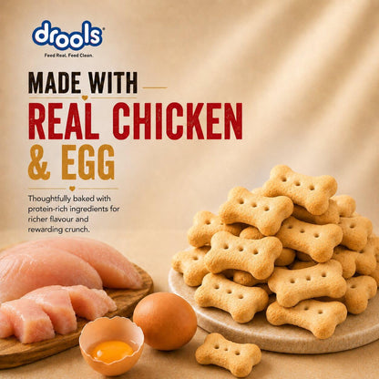 Drools All Life Stages Dog Treat Biscuits 800g Jar | Real Chicken Flavour | All Breed Formula | Promotes Lustrous Skin & Coat | Vitamins & Minerals | Reduces Tartar Build Up
