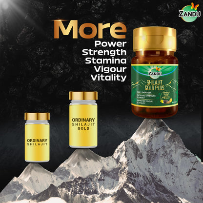 Zandu Shilajit Gold Plus| Scientifically tested advanced formula| Made using 100% Pure Himalayan Shilajit, Gold & 9 Ayurvedic herbs |Enhances strength, stamina, vigour, vitality and power | 20 Caps