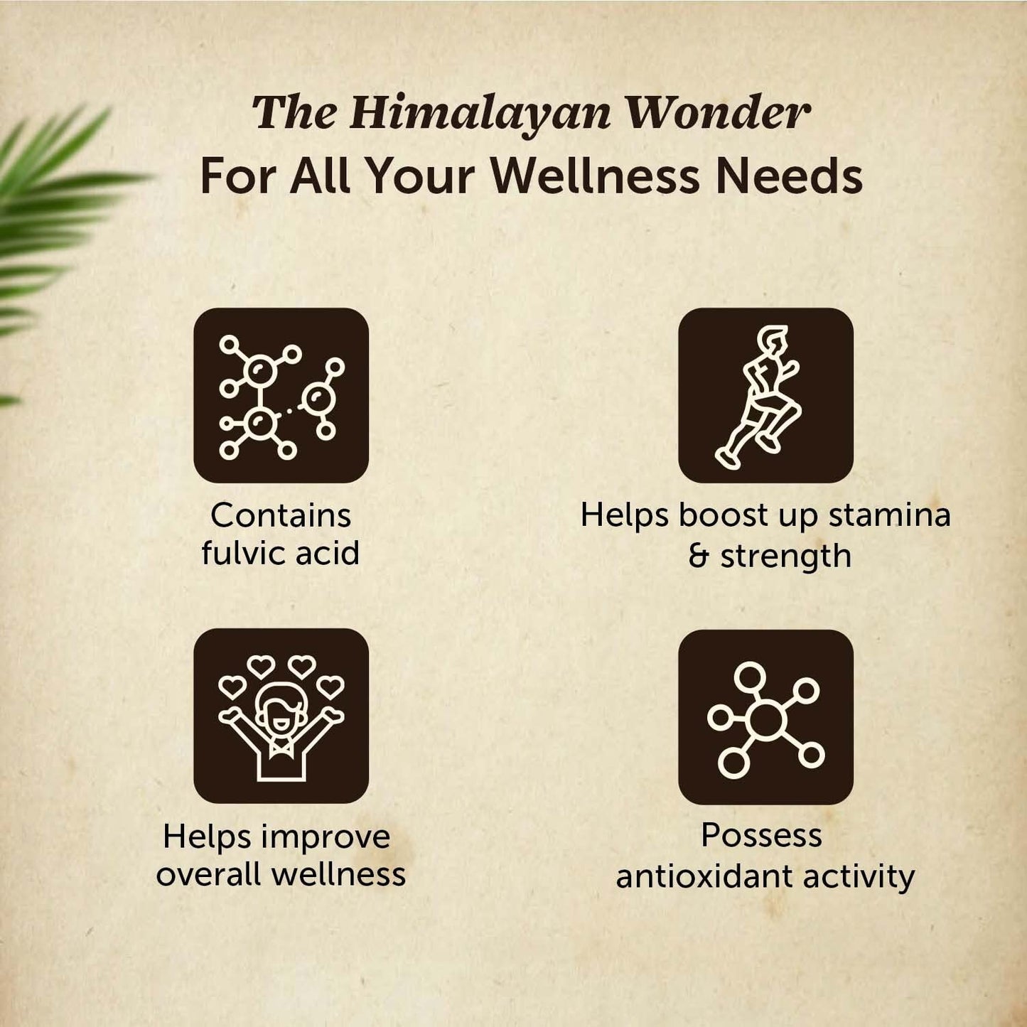 Neuherbs Shilajit - 20g | Pure Himalayan Shilajeet Supplement For Men & Women With 75% Fulvic Acid | Boost Energy, Stamina & Strength | Lab Tested For Heavy Metal