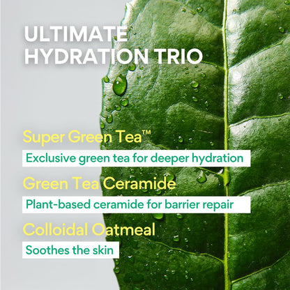 Innisfree Green Tea Ceramide Cream 50ml | Deep Moisturizing & Skin Barrier Boost | Ceramide Hydrating Korean Face Moisturizer