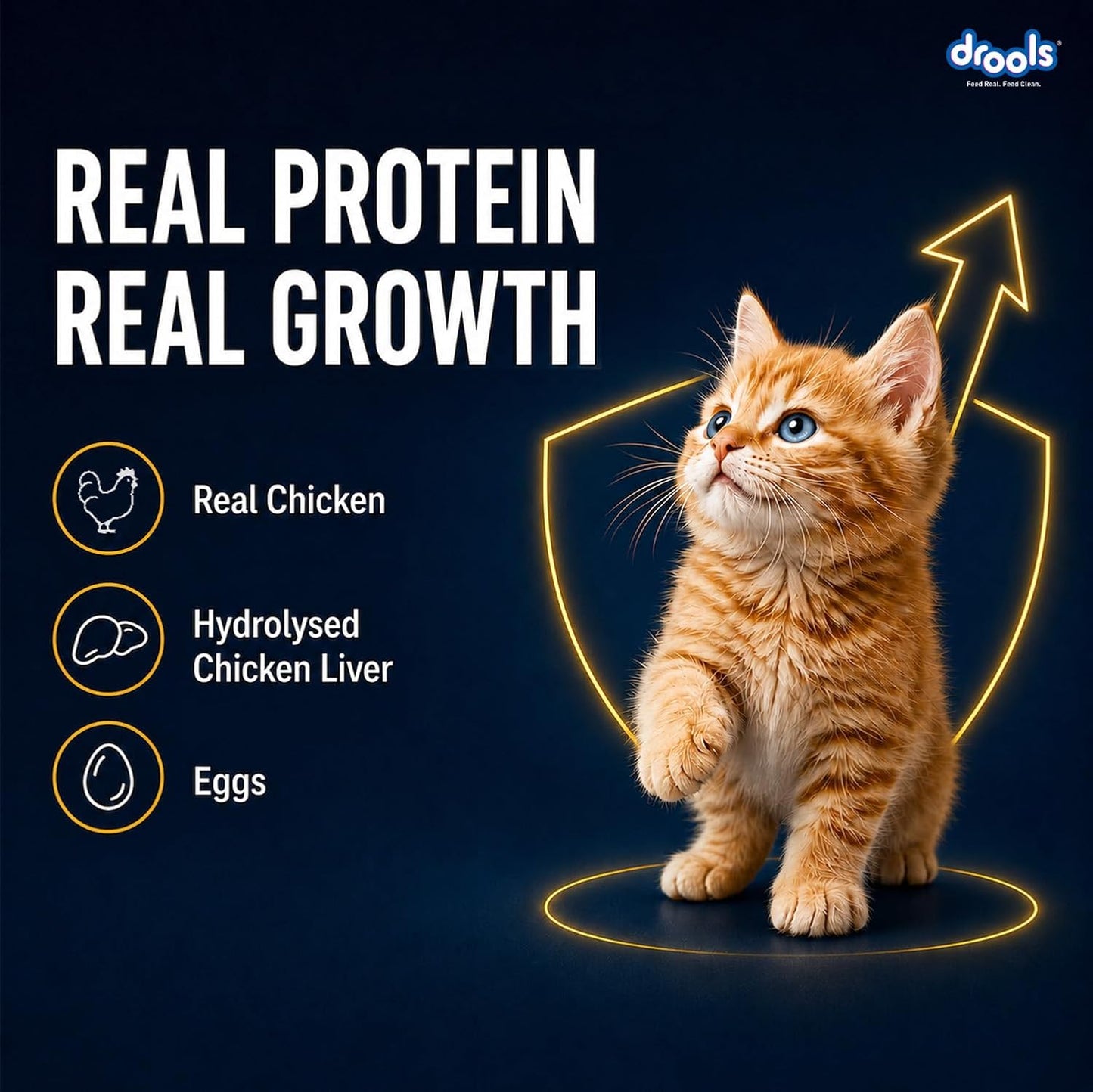 Drools Kitten Wet Mousse 80g | Chicken | High Protein | Supports Hydration & Easy Digestion | Grain Free | No Artificial Additives | Enriched with Vitamins & Antioxidants
