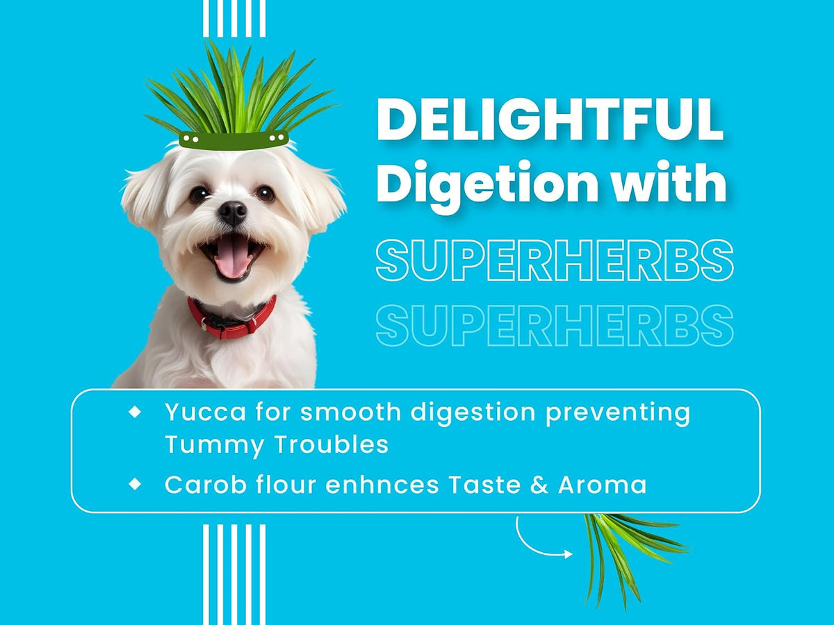 Bark Out Loud Adult Dry Dog Food for Small & Mini Breed – Chicken & Ancient Grains | Low Grain, Antioxidant & Fibre Rich | High Protein Kibbles with Prebiotics & Super Herbs| for Shihtzu, Poodle 1kg