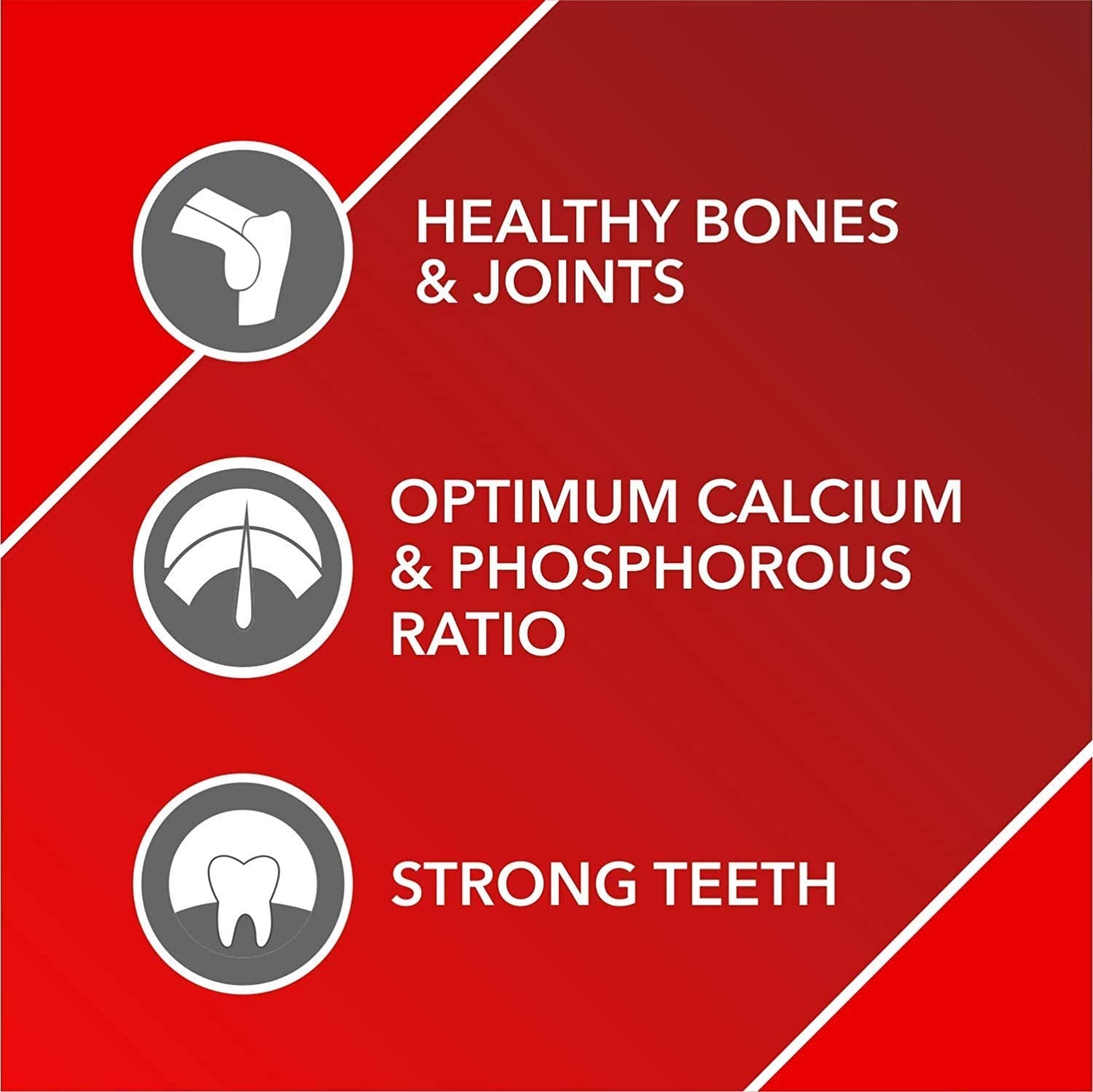 Red background with white text and icons about healthy bones, joints, calcium, phosphorous, and strong teeth.
