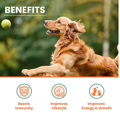LICKICIOUS Multivitamin Syrup for Dogs & Cats 200ml | 36 Active Ingredients for Improved Energy, Boost Immunity | Vitamins & Minerals for Enhanced Growth | Chicken Flavour Supplement/Tonic for Pets