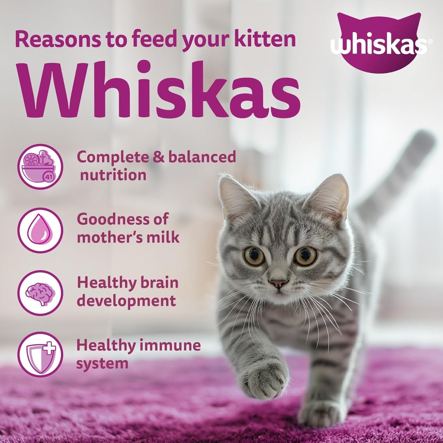 Whiskas Junior Mother Cat & Kitten (2-12 Months) Dry Cat Food, Mackerel Fish Flavour, 450 g, Contains 41 Essential Nutrients, Complete & Balanced Nutrition for Mother Cats & Kittens