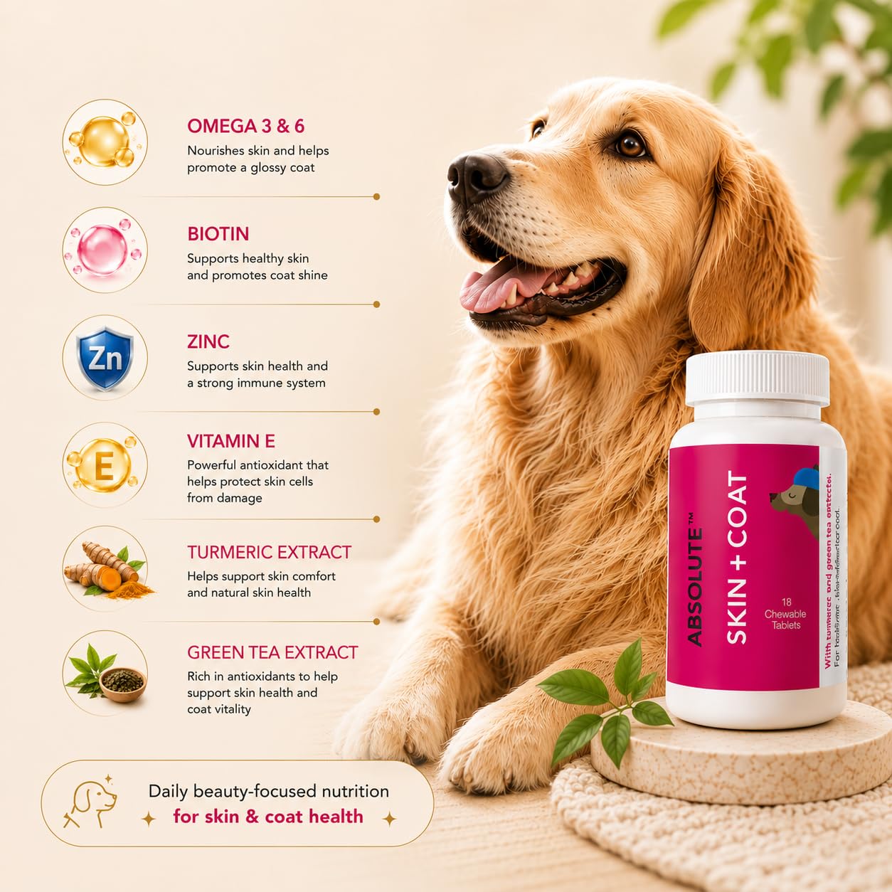 Drools Absolute Dog Supplement Tablet, Skin + Coat 400g 110 Pieces Jar | Turmeric Flavour | Supports Skin & Food Sensitivity | Nutrients Rich Botanical