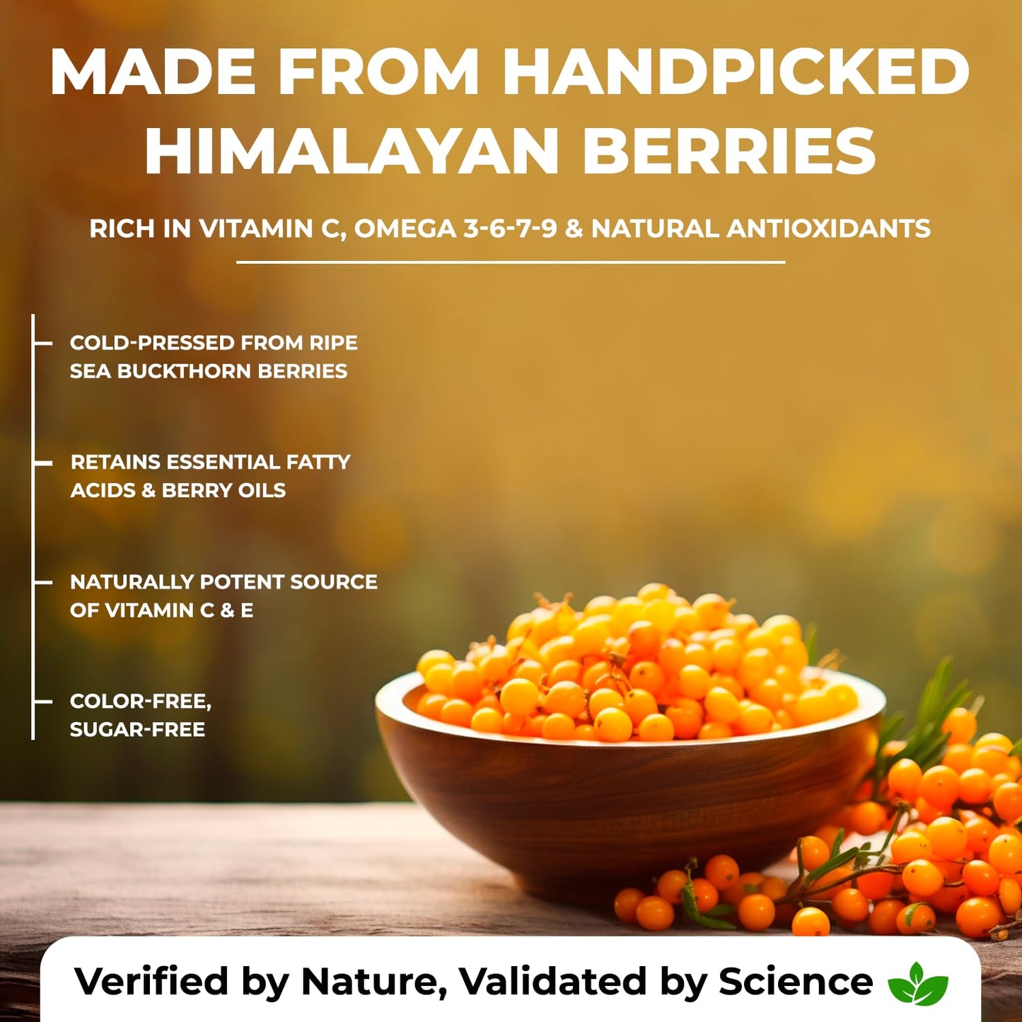 Bowl of sea buckthorn berries with text about their health benefits on a blurred natural background