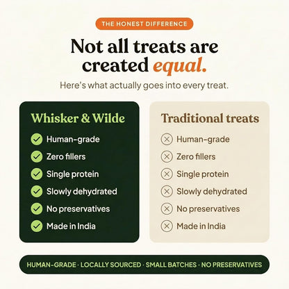 Whisker and Wilde Dehydrated Anchovies | Cat Treats | Natural Taurine & Omega-3 | Heart Health & Silky Coat | Training and Reward | Dental Chew | Human-Grade | No Preservatives | 70g