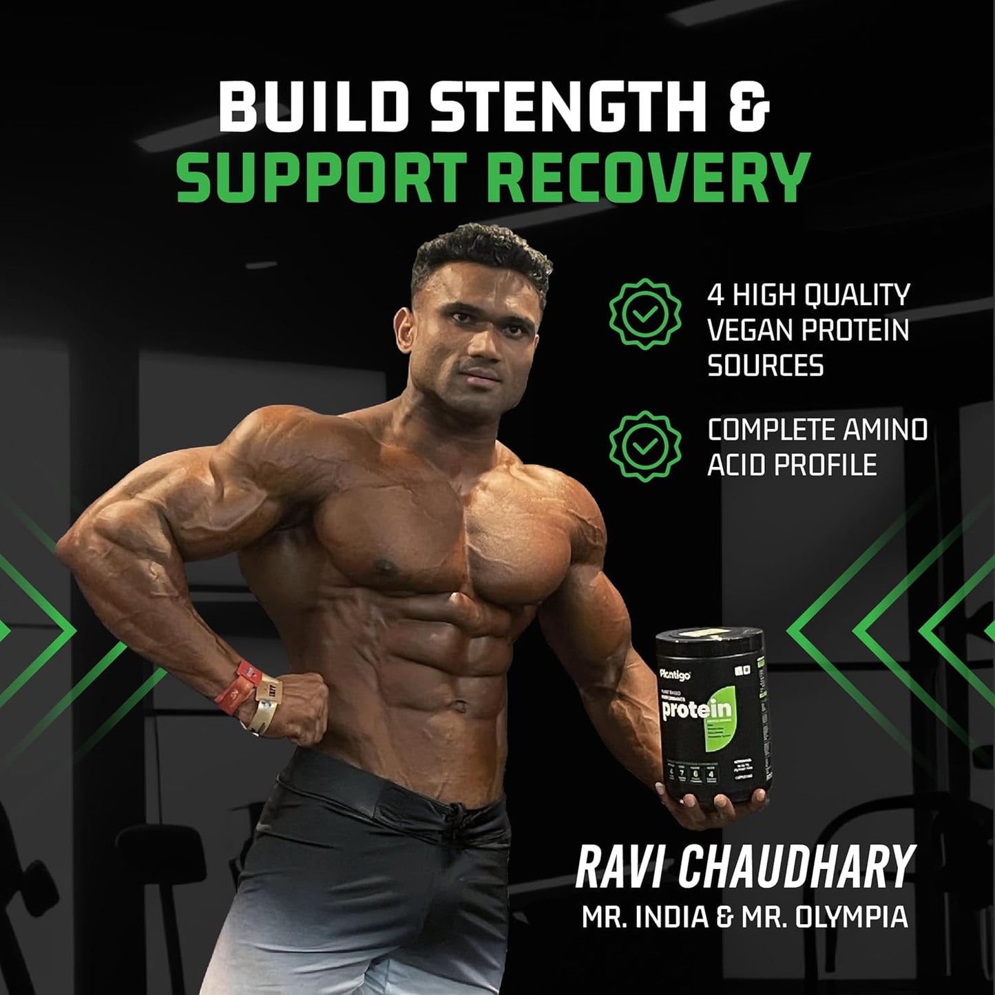 Plantigo Protein Powder 24g Plant Based Protein, 3g BCAA, 2g Leucine, 3g Fiber, 4x Fast Digestion, 95% Bioavailability, 3x Anti Oxidants, Anti Inflammatory, Vitamins, Minerals - Vanilla Flavored 500g