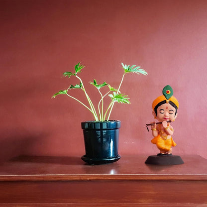 Shri Krishna with Flute Figurine Showpiece for Car Dashboard, Home Office | Kanha Ji Murti Statue for Hindu Temple, Spiritual Decor | Gift for Devotees