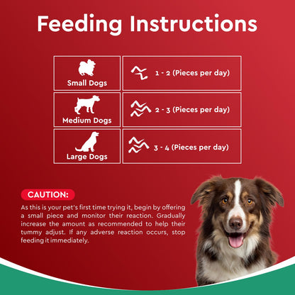 Drools Puppy & Adult Dog Treats Dehydrated Chews Wings, 70g| Real Chicken Flavour | Vital Nutrients | Digestive Health | Protein-Packed | Tasty & Nutritious