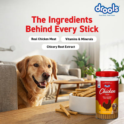 Drools Real Chicken Flavor Dog Treat Sticks, Delicious Training & Reward Treats for Dogs, 500g