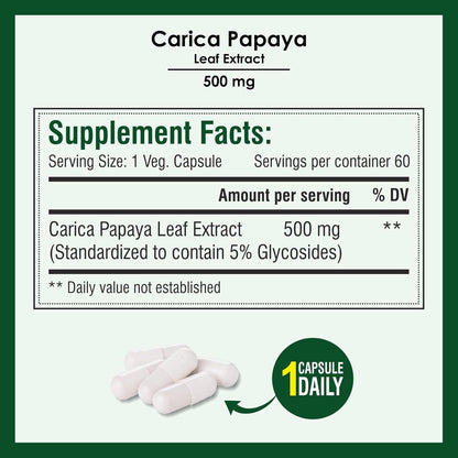 Biotrex Nutraceuticals Carica Papaya Leaf Extract 500mg - 60 Capsules