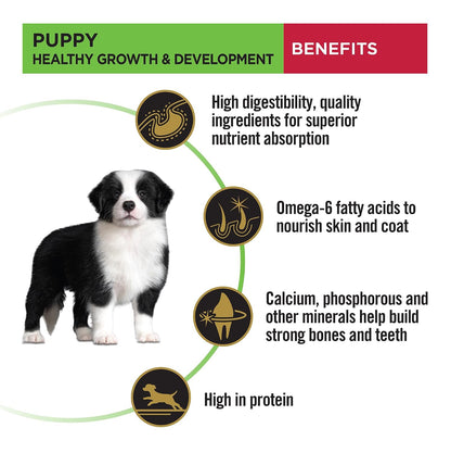 Purina Pro Plan Puppy Dry Food for Medium Breed Dogs, 1kg Pack | With Chicken, Natural Colostrum, Supports Immune System, Scientifically Proven Antioxidants, Complete Nutrition