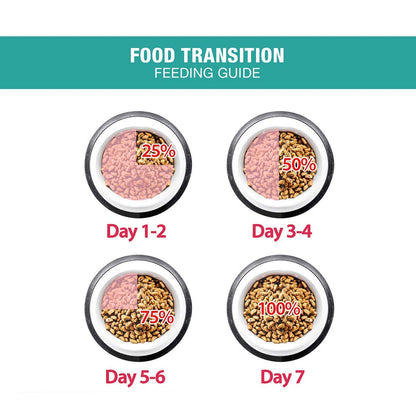 Me-O Persian Kitten Dry Cat Food, 1.1Kg