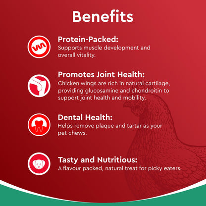 Drools Puppy & Adult Dog Treats Dehydrated Chews Wings, 70g| Real Chicken Flavour | Vital Nutrients | Digestive Health | Protein-Packed | Tasty & Nutritious