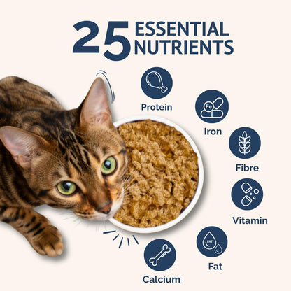 Goofy Tails Mackerel and Chicken Wet Cat Food and Kitten Food, 210g (70g X 3 Pouches), Preservative Free, Gluten & Grain Free, Balanced Cat Wet Food, Powered by Taurine (1, Chicken & Mackerel)