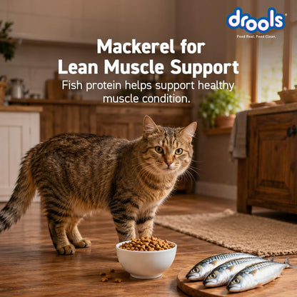 Drools Adult Dry Cat Food 1.2kg Pack | Mackerel Flavour | Enriched with Essential Nutrients | Supports Skin & Coat | Complete Nutrition | Aids Digestion | Promotes Growth
