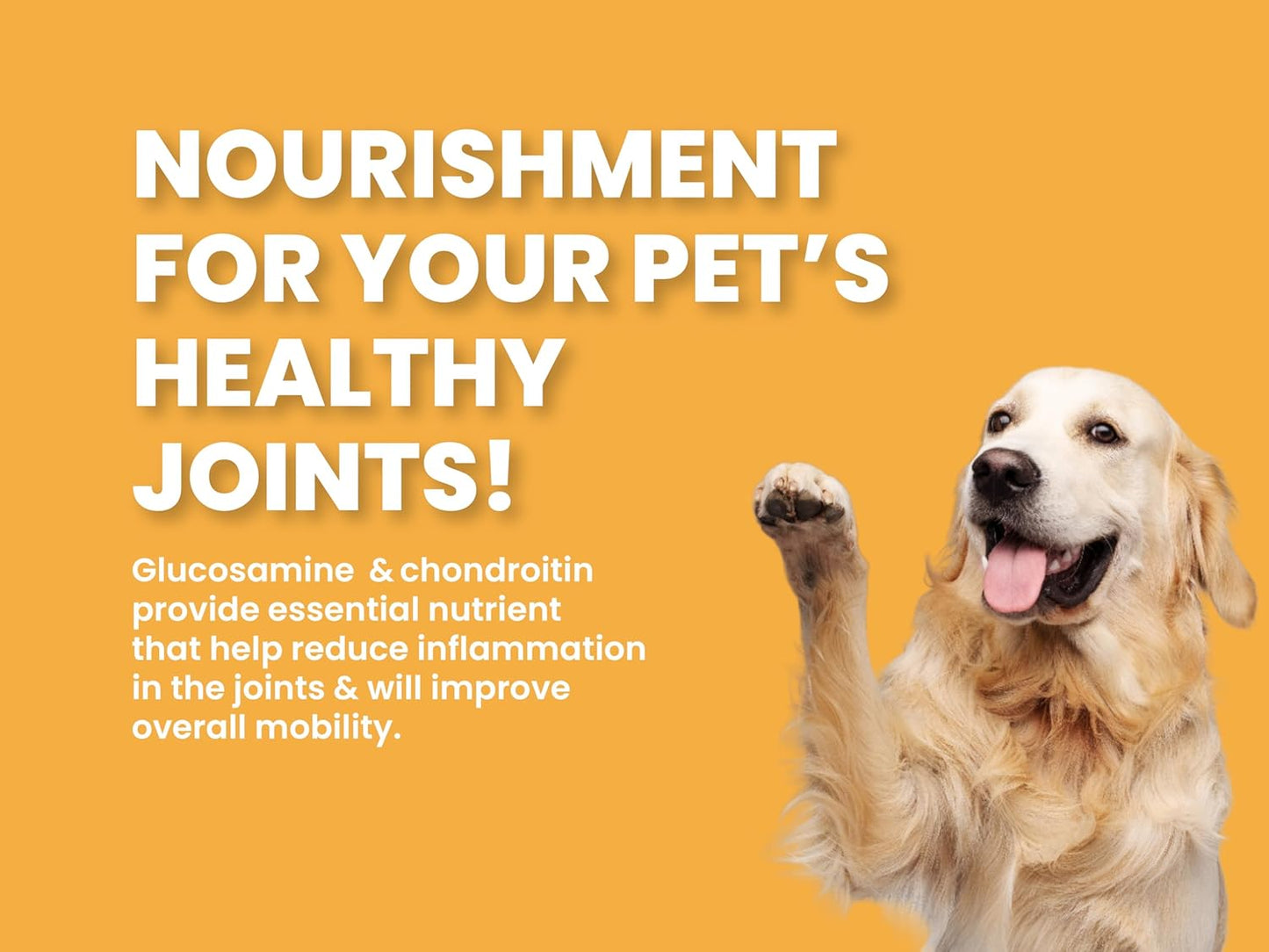 BARK OUT LOUD Dry Dog Food Adult | Fresh Salmon & Turkey, Low Grain, Rich Novel Protein & Prebiotics, Super Herbs for Healthy Skin, Fish Dry Kibbles for Medium/Large Dog, 1.8 kg
