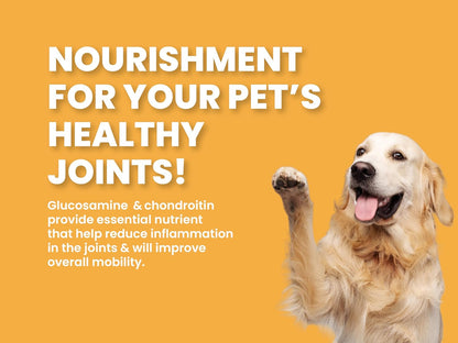 BARK OUT LOUD Dry Dog Food Adult | Fresh Salmon & Turkey, Low Grain, Rich Novel Protein & Prebiotics, Super Herbs for Healthy Skin, Fish Dry Kibbles for Medium/Large Dog, 1.8 kg